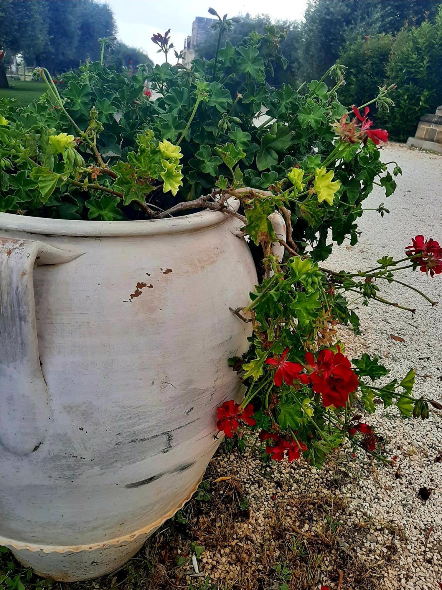 Villa Carrieri مارينا دي ليتسانو المظهر الخارجي الصورة
