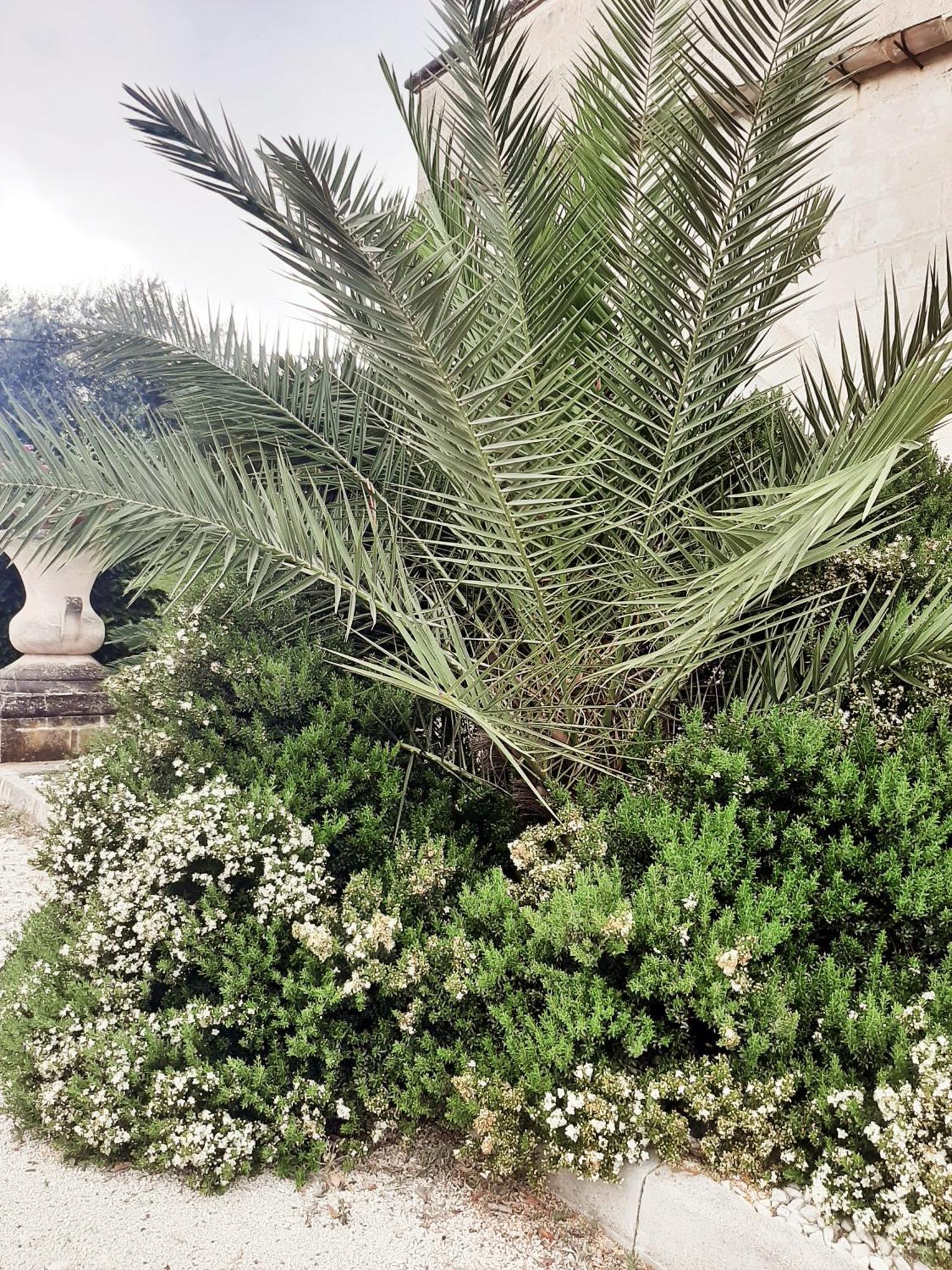 Villa Carrieri مارينا دي ليتسانو المظهر الخارجي الصورة